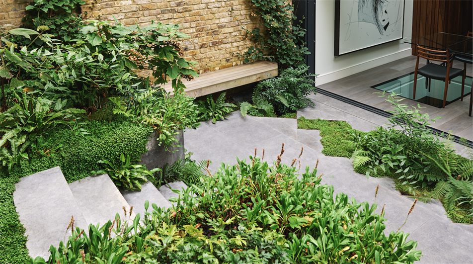 Garden by Adolfo Harrison MSGLD - Credit: Mischa Haller